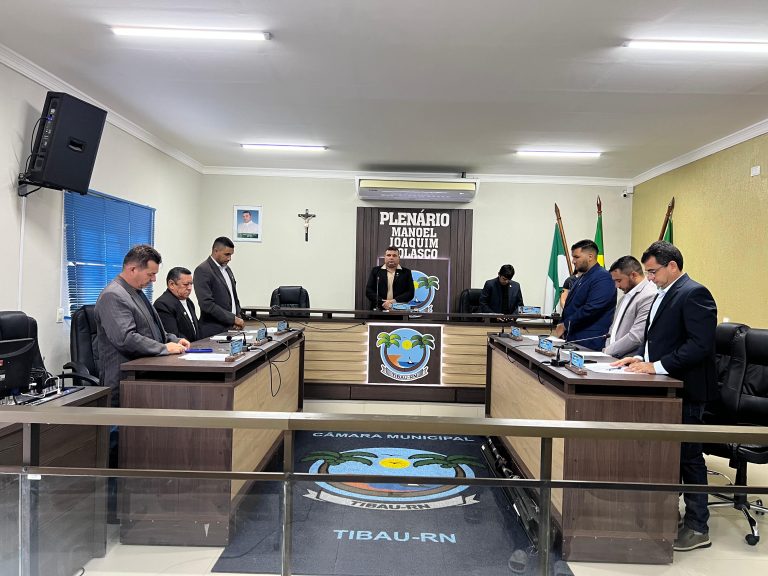 Leia mais sobre o artigo 15ª Sessão Ordinária presta homenagem e discute avanços em infraestrutura e habitação